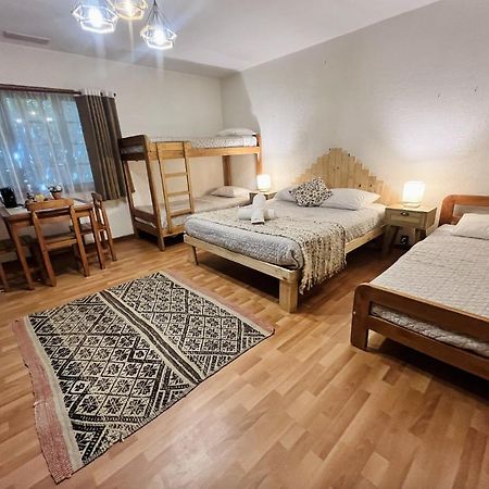 Alma Nativa Hostel Pucón Екстериор снимка