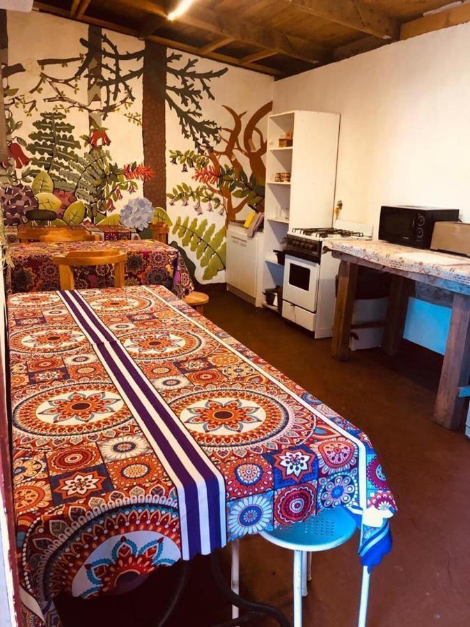 Alma Nativa Hostel Pucón Екстериор снимка