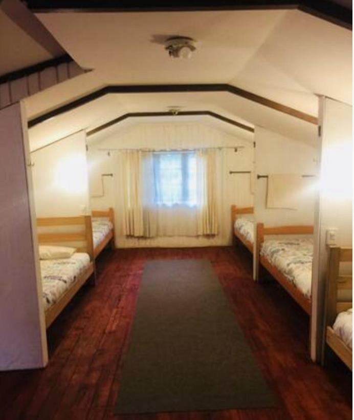 Alma Nativa Hostel Pucón Екстериор снимка