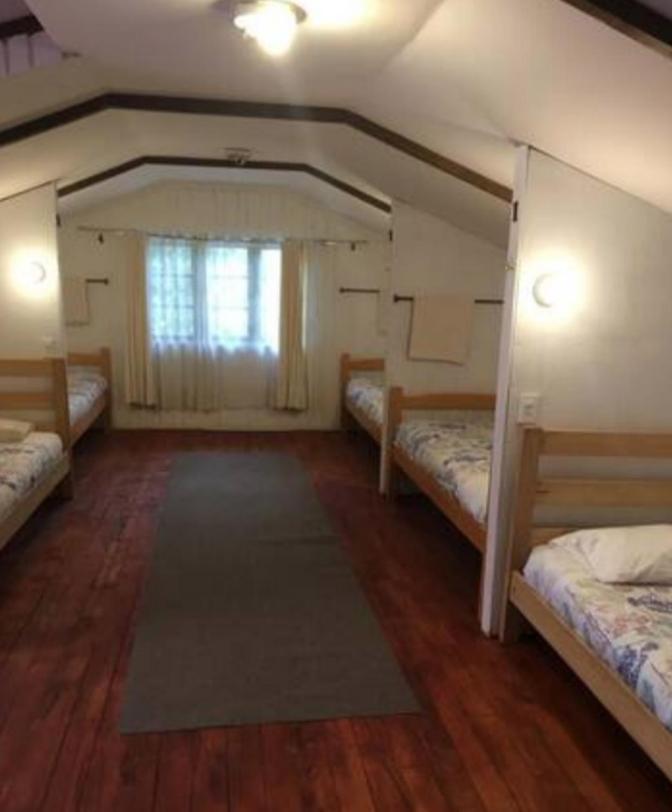 Alma Nativa Hostel Pucón Екстериор снимка