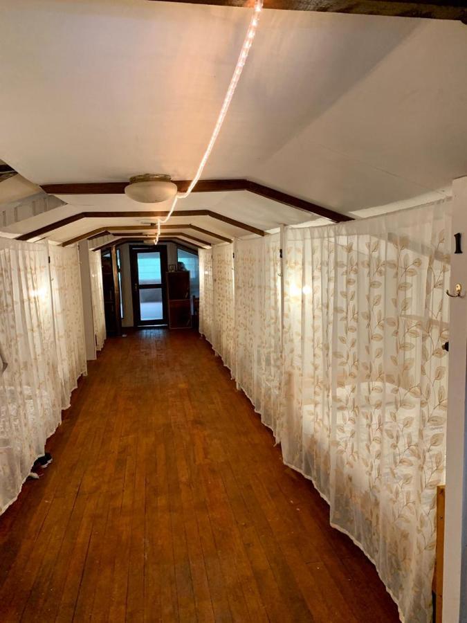 Alma Nativa Hostel Pucón Екстериор снимка