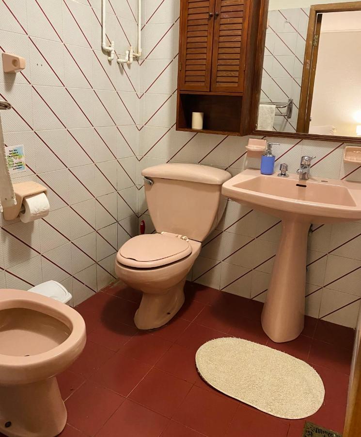 Alma Nativa Hostel Pucón Екстериор снимка