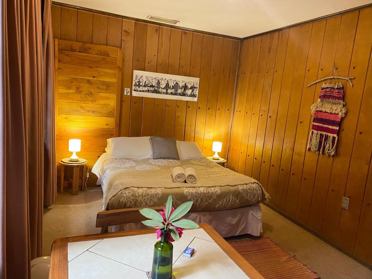 Alma Nativa Hostel Pucón Екстериор снимка