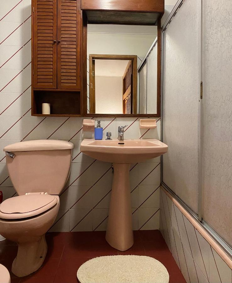 Alma Nativa Hostel Pucón Екстериор снимка