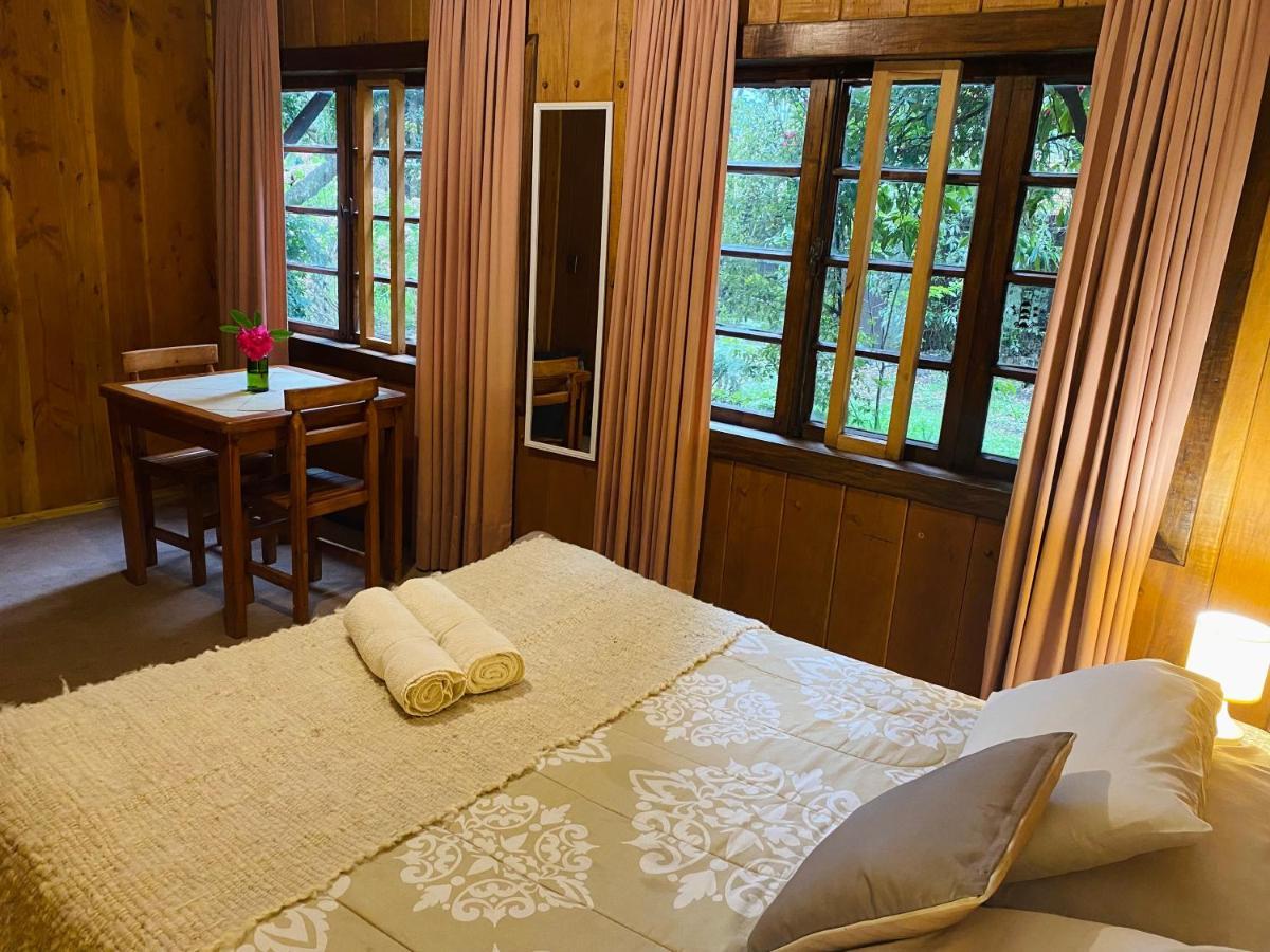 Alma Nativa Hostel Pucón Екстериор снимка