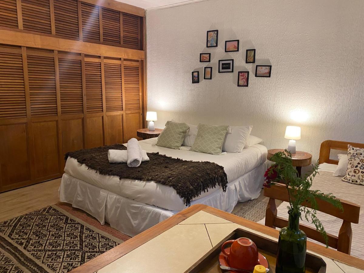 Alma Nativa Hostel Pucón Екстериор снимка