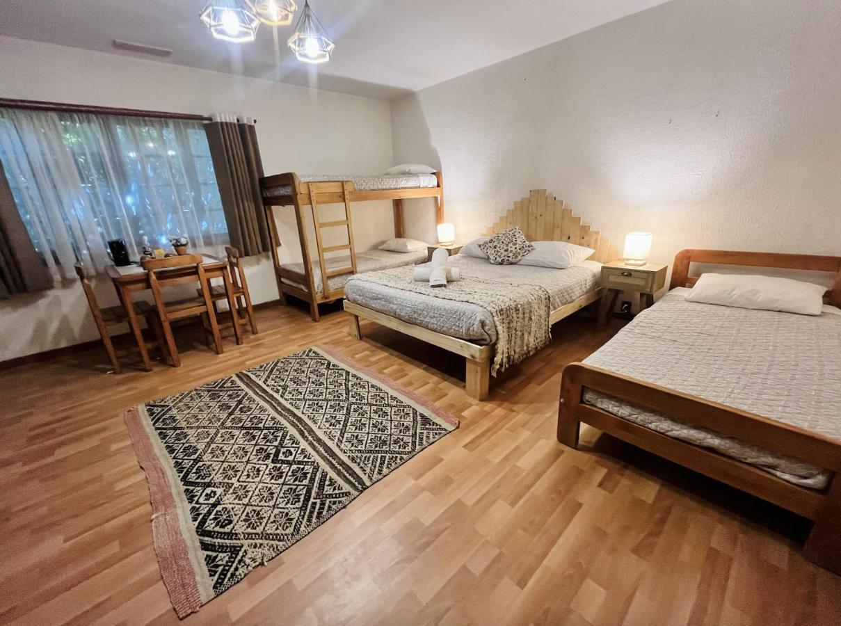 Alma Nativa Hostel Pucón Екстериор снимка