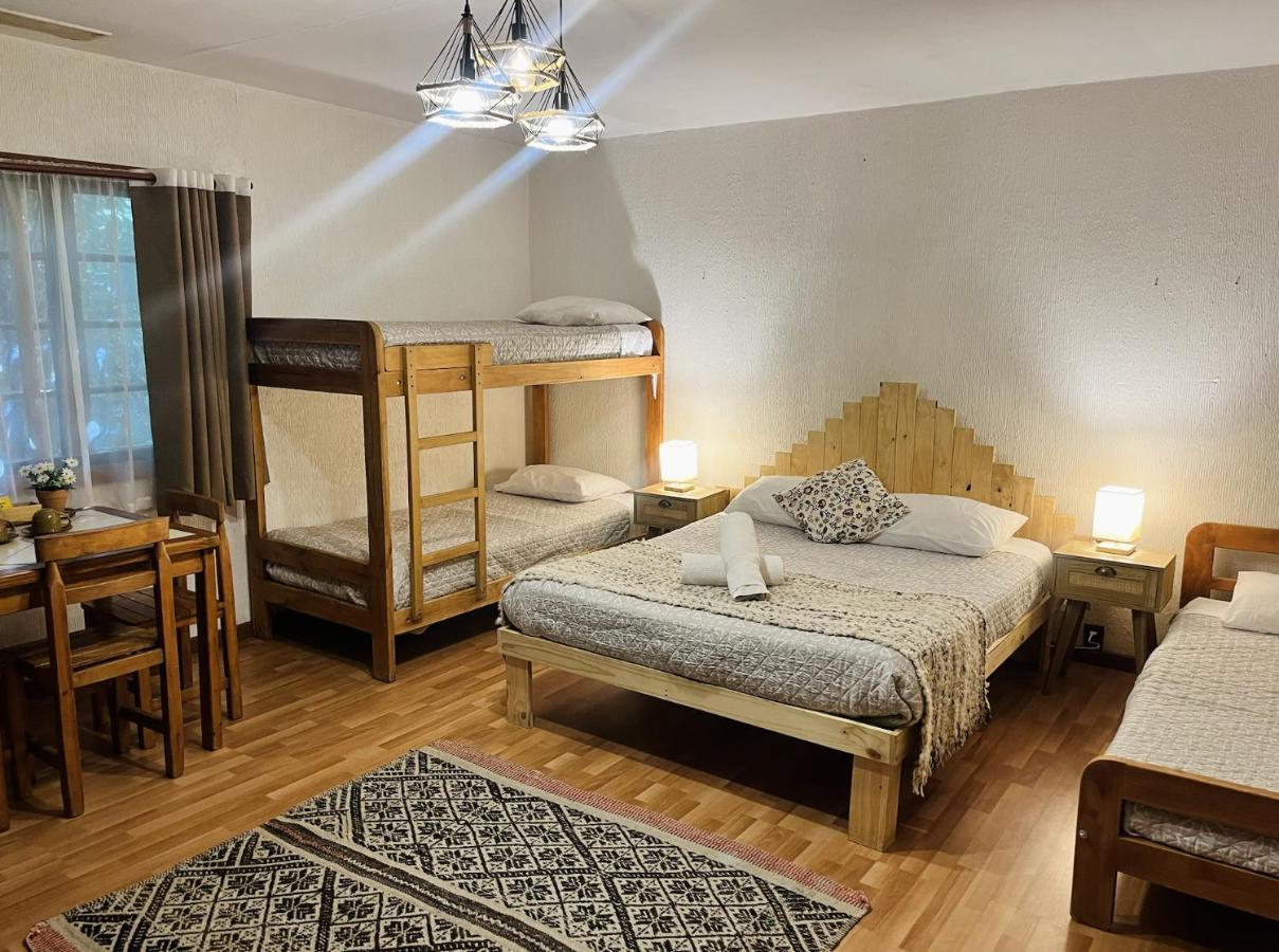 Alma Nativa Hostel Pucón Екстериор снимка